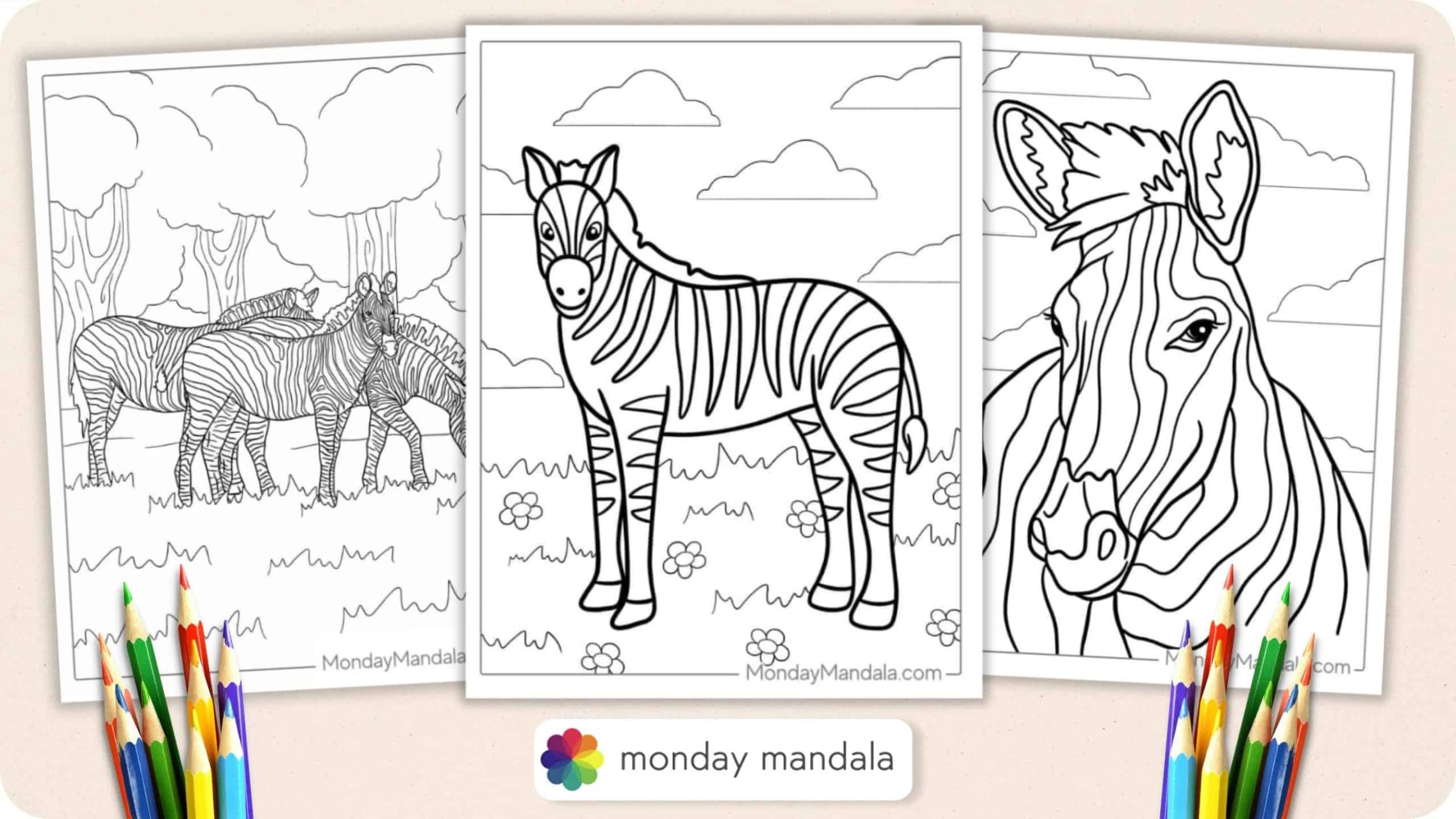 20 Zebra Coloring Pages Free PDF Printables 