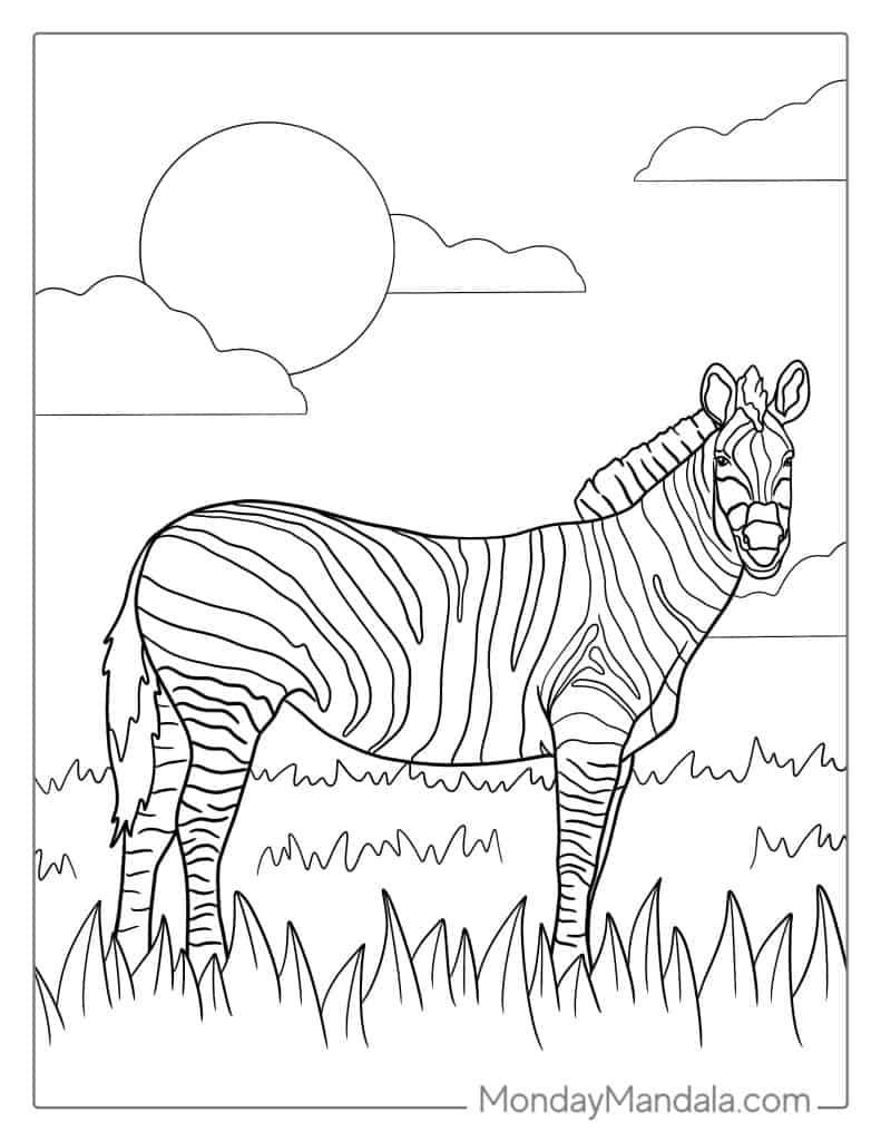 20 Zebra Coloring Pages Free PDF Printables 