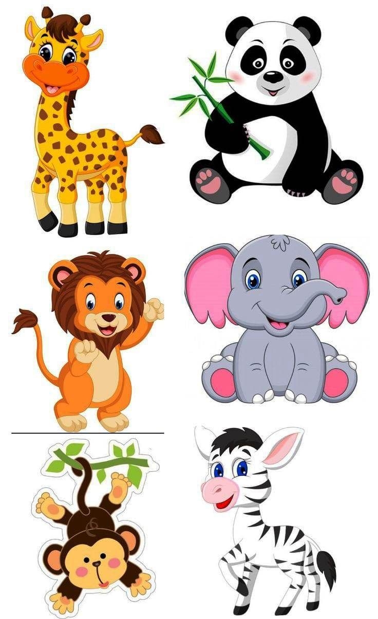Animals hayvanlar