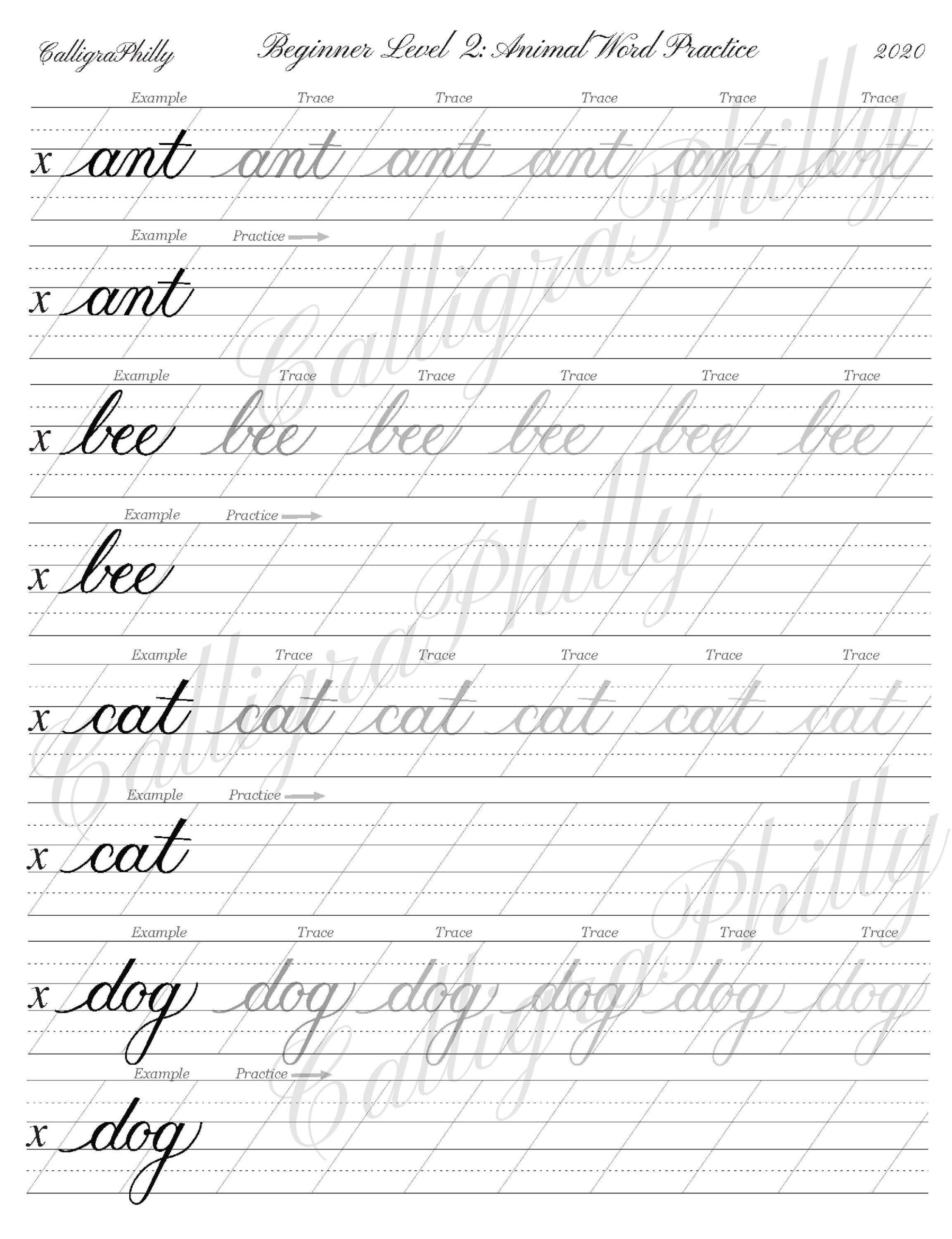 Beginner Level 2 Calligraphy Word Practice Worksheet Blank Practice Sheet Animal Theme Copperplate Calligraphy Digital Download Etsy