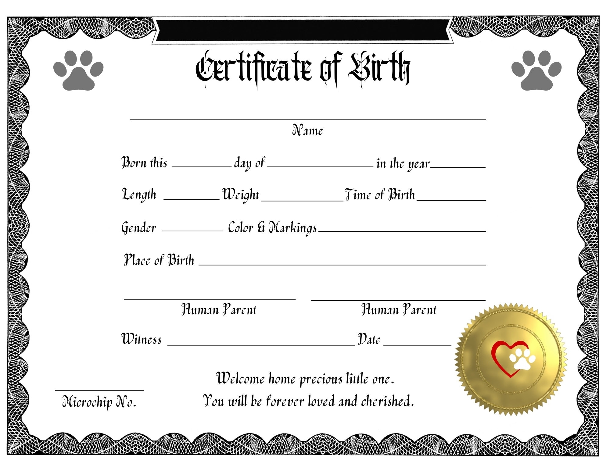 Buy Kitten Birth Certificate DIGITAL DOWNLOAD Printable Pet Birth Record Breeder s Birth Certificate For Pet Parents Pet Memorabilia Online In India Etsy