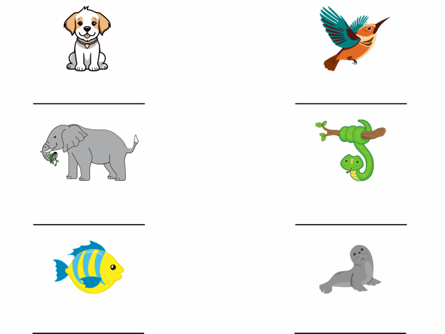 Classification Of Animals Worksheet For Grade 1 Animal Classification For Kids Made By Teachers