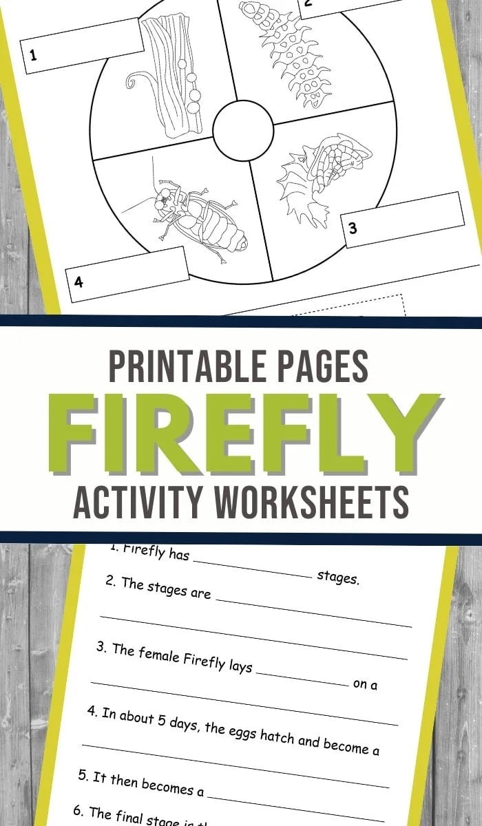 Firefly Activity Set Worksheets Free Homeschool Deals 