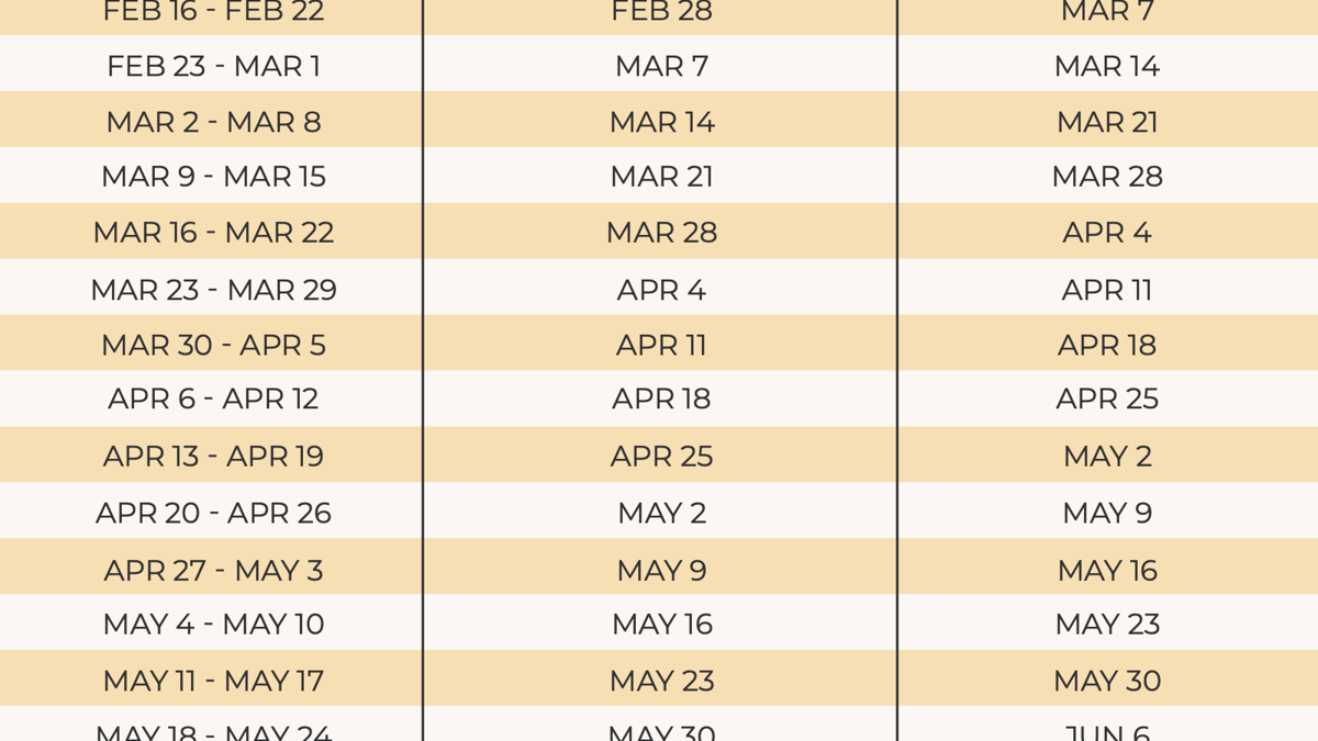 IRS Tax Refund Calendar And Schedule 2025 Updated 