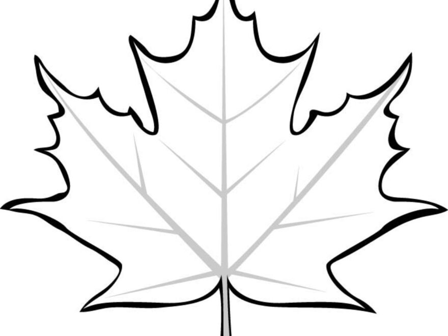 Leaf Printable Coloring Pages HubPages
