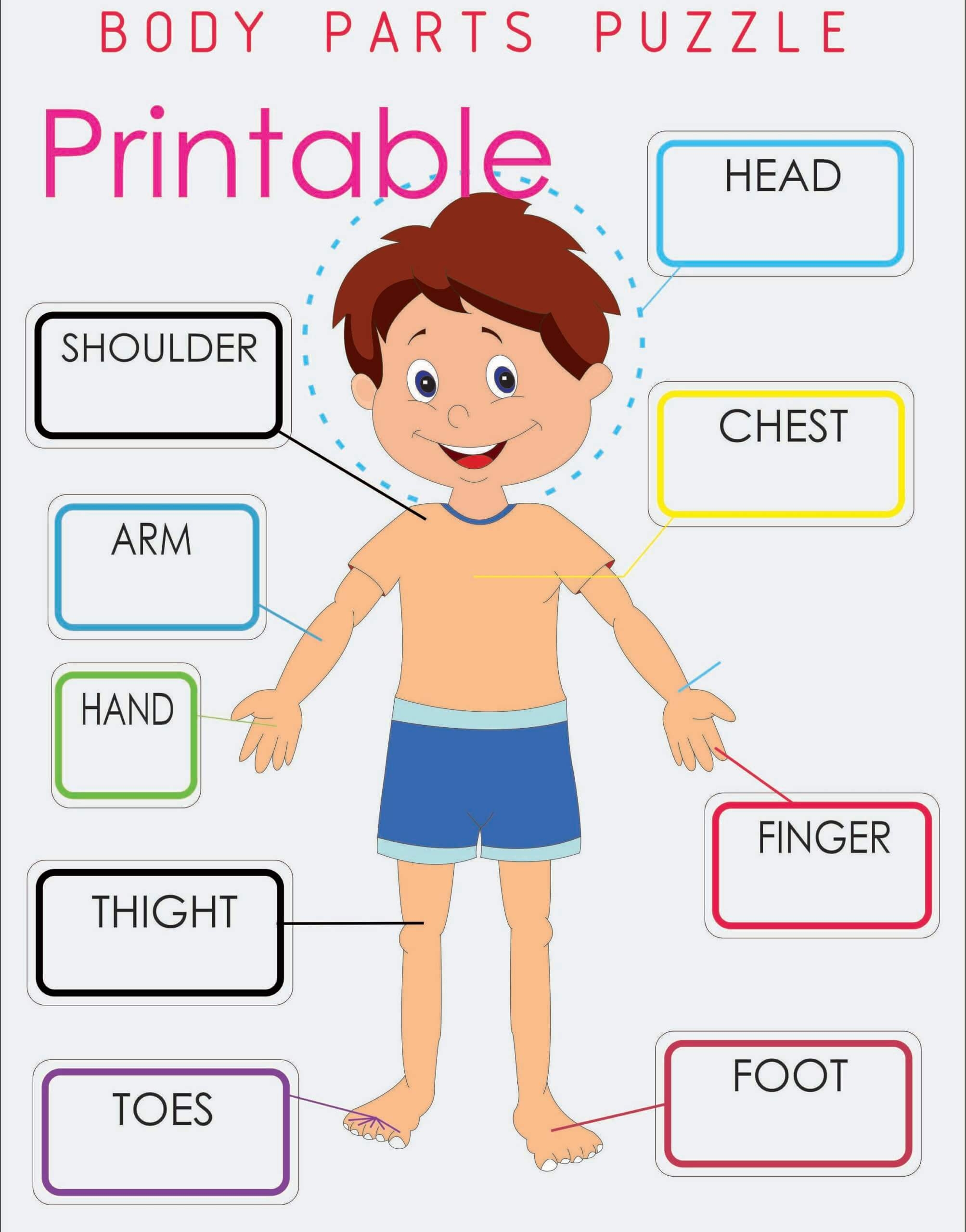 Printable Body Parts Worksheet