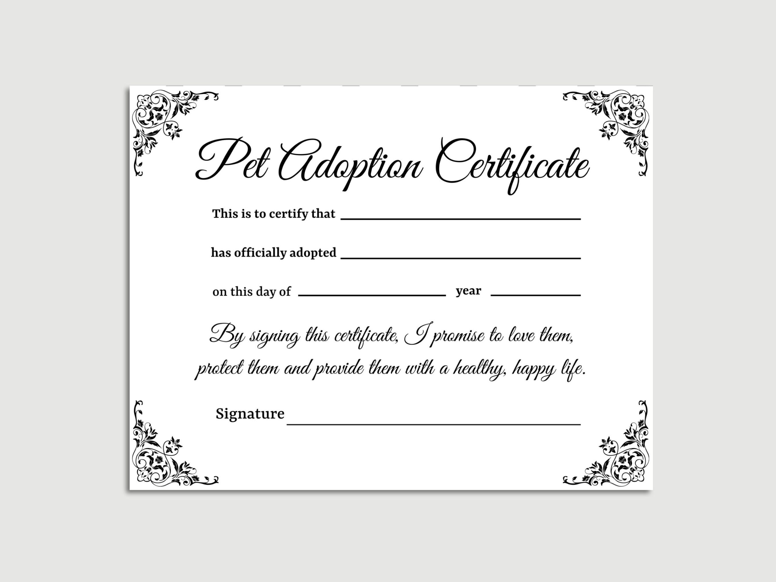 Pet Adoption Certificate Template Dog Adoption Certificate Pet Certificate Template Puppy Certificate Of Adoption Digital Download Etsy
