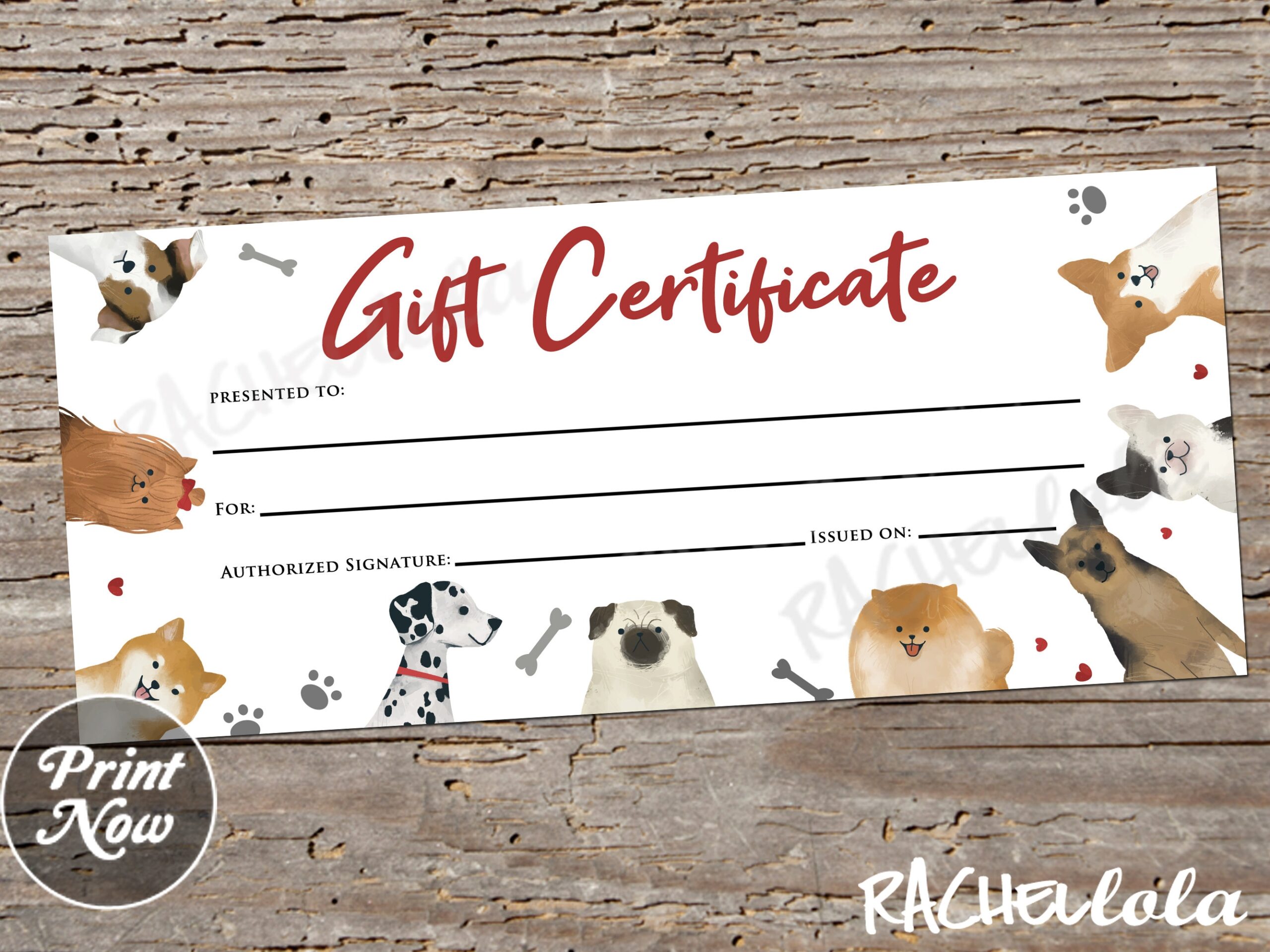 Printable Pet Gift Certificate Fillable Template Dog Boarding Cat Groomer Thank You Christmas Voucher Veterinarian Instant Download Etsy