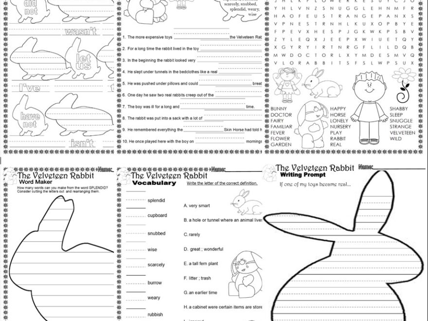 The Velveteen Rabbit Read Aloud Book Companion Reading Comprehension Worksheets Classful