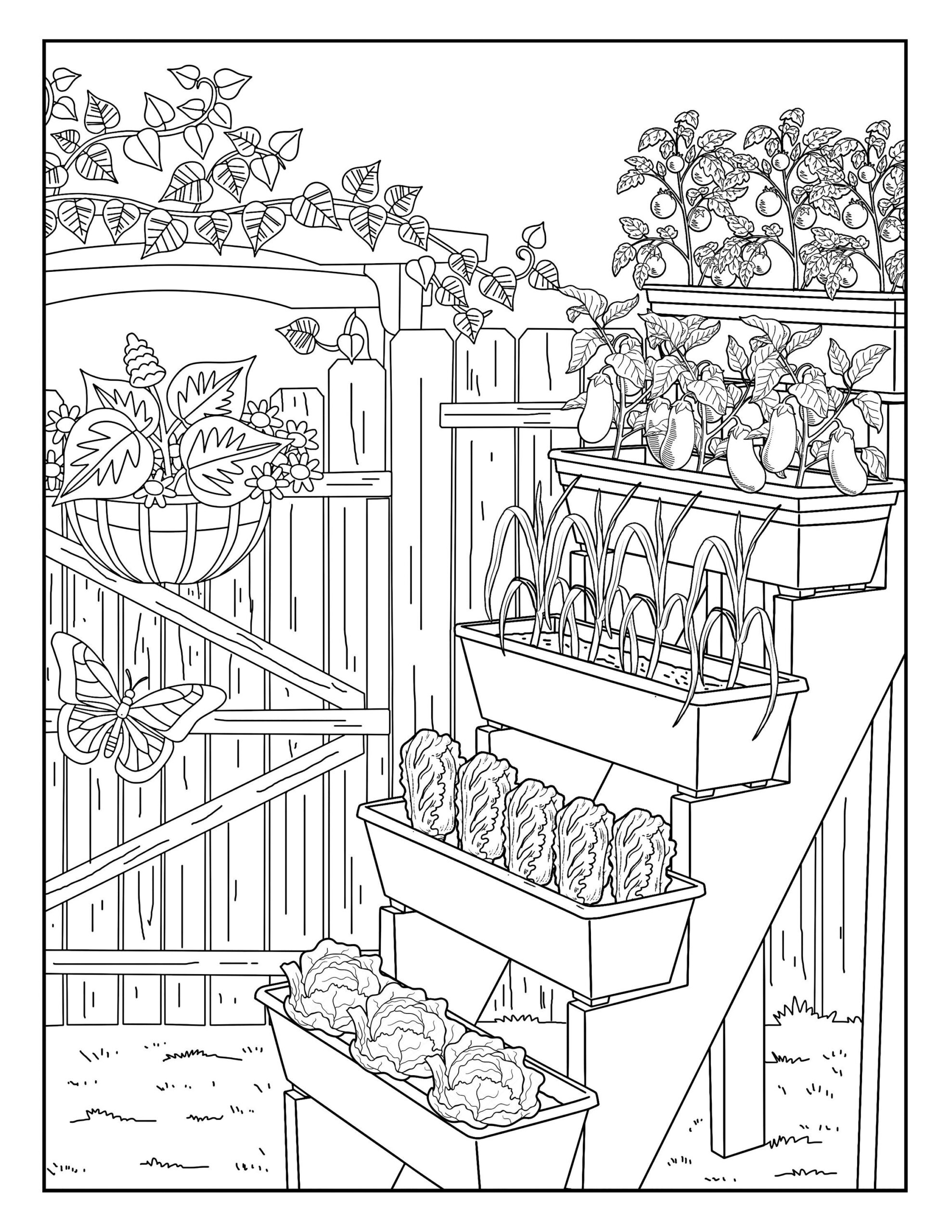 Vegetable Garden garden Gallery Coloring Pages For Adults 1 Printable Coloring Page Instant Download PDF Etsy