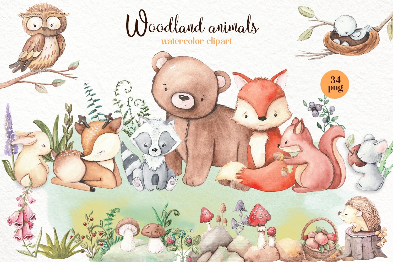 Woodland Animals Clipart Forest Cute Baby Animals 2070073 